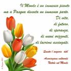Ingrandisci la Foto